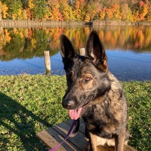 Meet your Posher, Janet